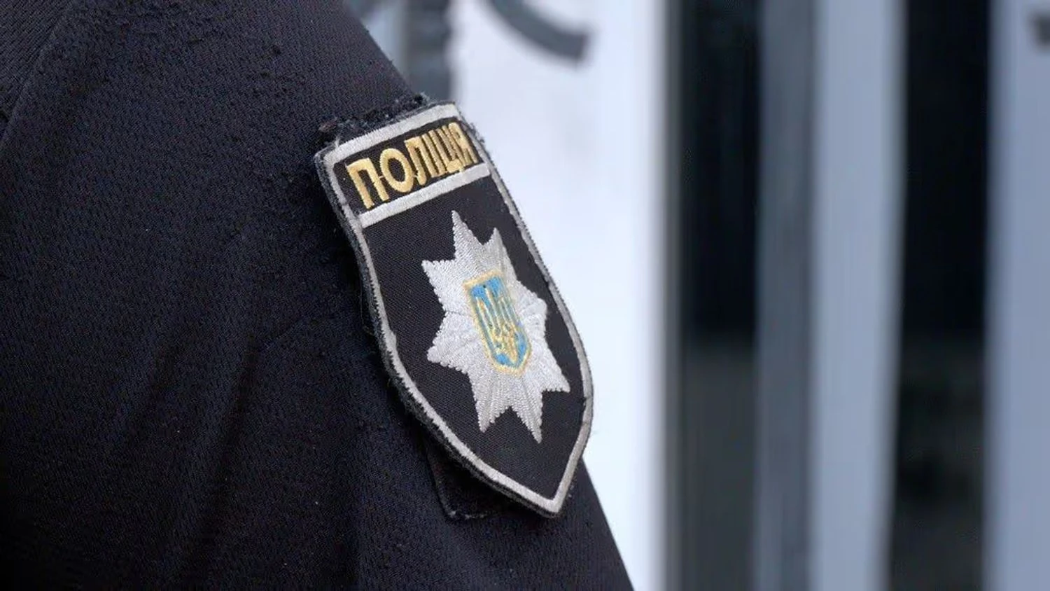 У Києві школяр викинув кота з вікна багатоповерхівки: правоохоронці з’ясовують обставини жорстокого поводження з твариною