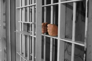 Українські Національні Новини (УНН)