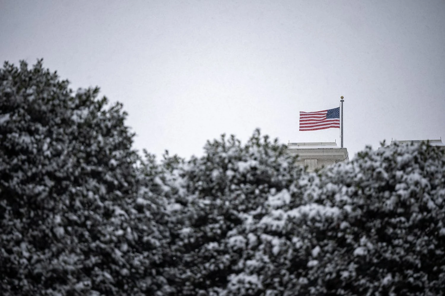 "Гренландія має бути частиною США": Міллер з Білого дому зробив заяву про позицію адміністрації Трампа
