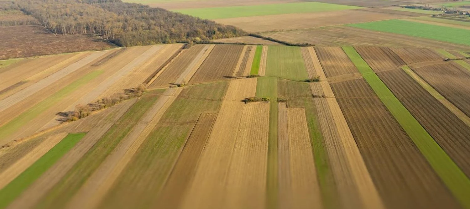 Українські Національні Новини (УНН)