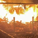 Українські Національні Новини (УНН)