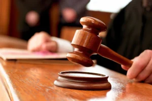 Рік умовно за втечу левиць: суд покарав власника приватного вольєра на Хмельниччині