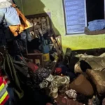 Українські Національні Новини (УНН)