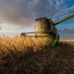 Євроінтеграція агросектору - в Україні заговорили про ризик втрат на мільярди