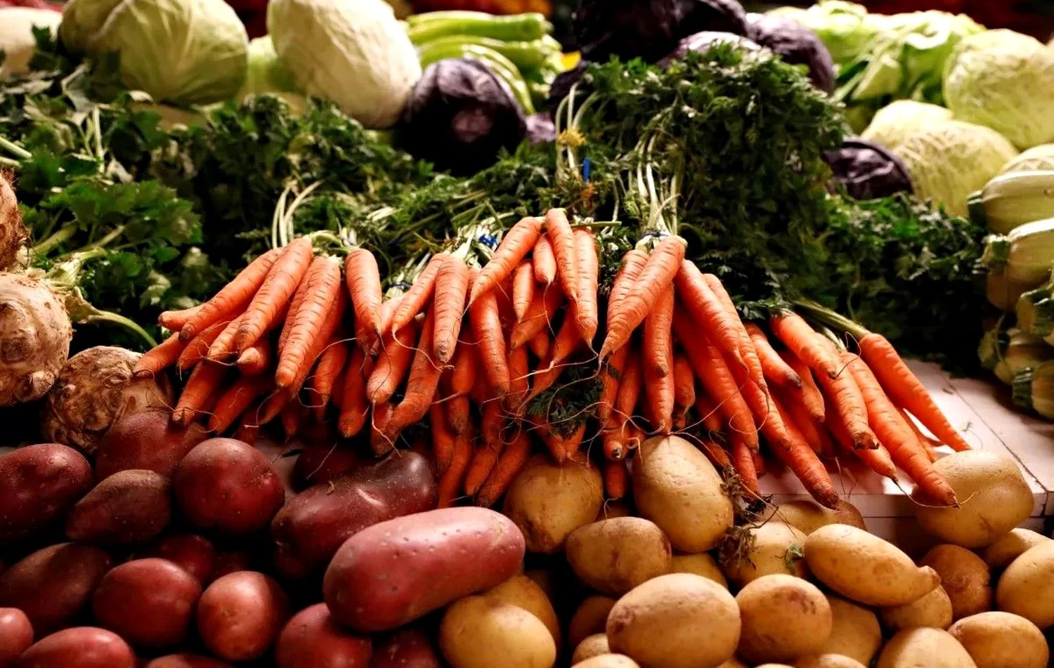 Овочі в Україні подорожчають ще на 10-12% - аграрії пояснили причину