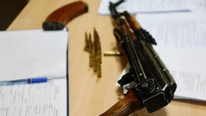 В Україні триває кампанія з декларування незареєстрованої вогнепальної зброї та боєприпасів - МВС