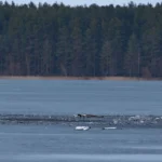 У Литву залетів і вибухнув невідомий дрон, ймовірно, з білорусі - ЗМІ