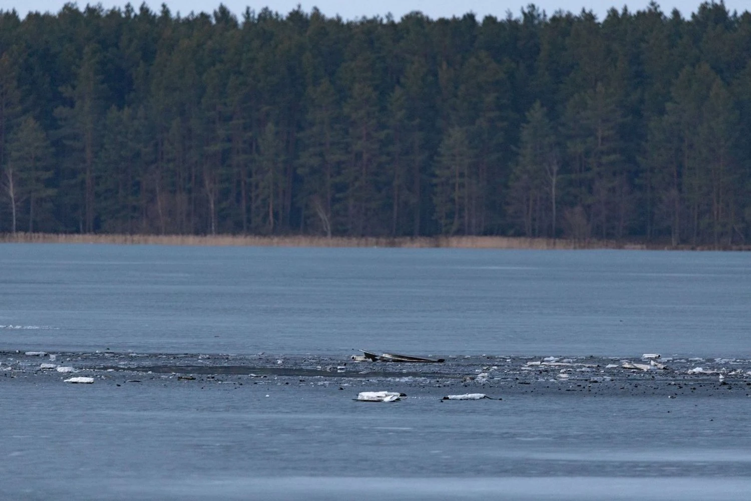 У Литву залетів і вибухнув невідомий дрон, ймовірно, з білорусі - ЗМІ
