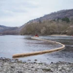 Нові нафтові плями на Дністрі та загибель птахів виявили на півночі Молдови