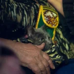 Пункти евакуації ВПО отримають компенсацію за комуналку - рішення уряду