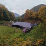 Лісничий на Закарпатті збудував собі маєток на самовільно захопленій ділянці