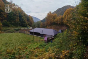 Лісничий на Закарпатті збудував собі маєток на самовільно захопленій ділянці