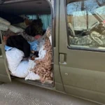 Вивозив ухилянтів під маскувальними сітками - на Буковині затримали капелана з поплічником