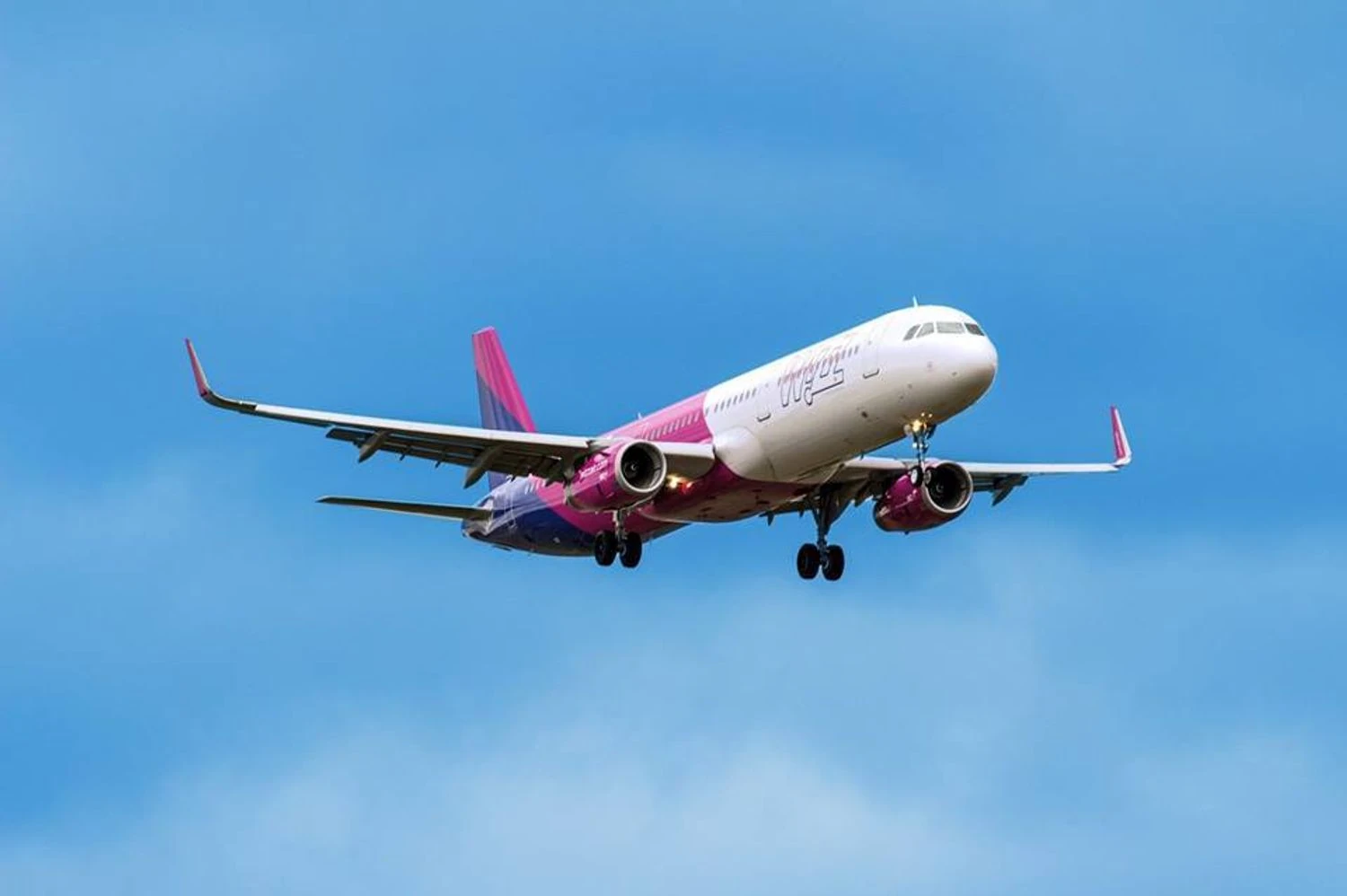 Wizz Air оголосила про підготовку до повернення в Україну, шукають пілотів