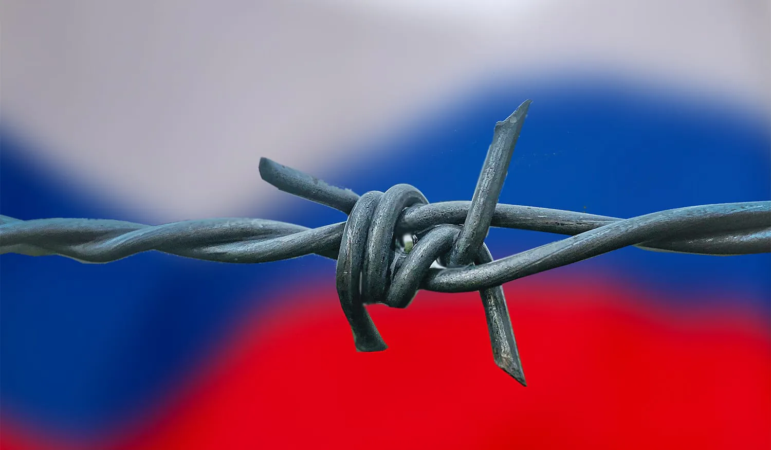 Українські Національні Новини (УНН)
