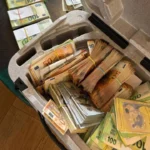 На Закарпатті розслідують масштабне ухилення від податків одним із найбільших центрів пластичної хірургії