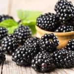 Українські Національні Новини (УНН)