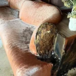 У Варшаві невідомі підпалили ресторан мільйонера Слобоженка