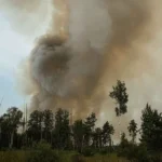 Українські Національні Новини (УНН)