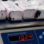 В Україні викрили канал постачання кокаїну, вилучено партію на 52 000 доларів - Офіс Генпрокурора